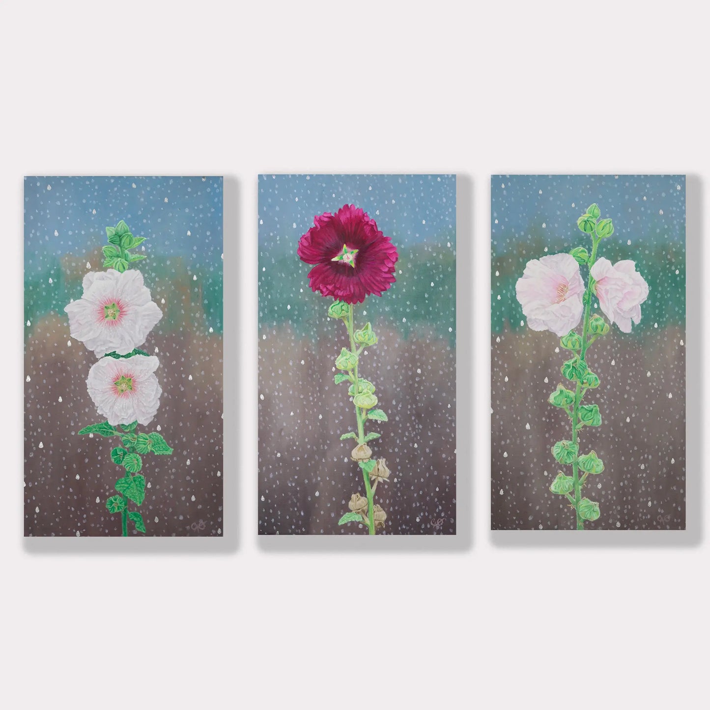 Hollyhock Alcea Rose 18x10"