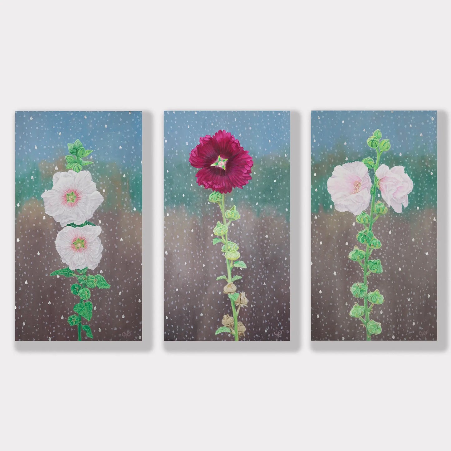 Hollyhock Halo White Alcea Rosea 18x10"