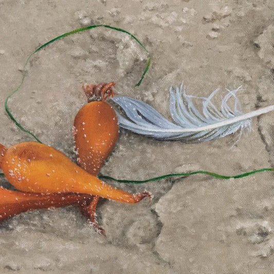 Feather and Kelp Bulbs 12x12"