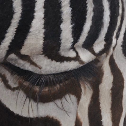 The Sad Zebra 16x20"