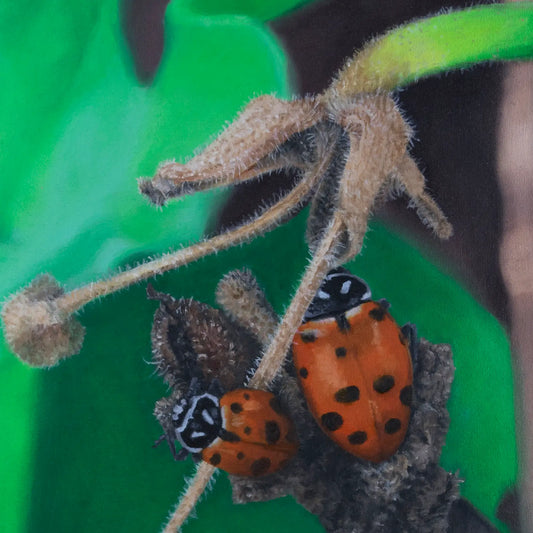 Ladies Resting 14x12"