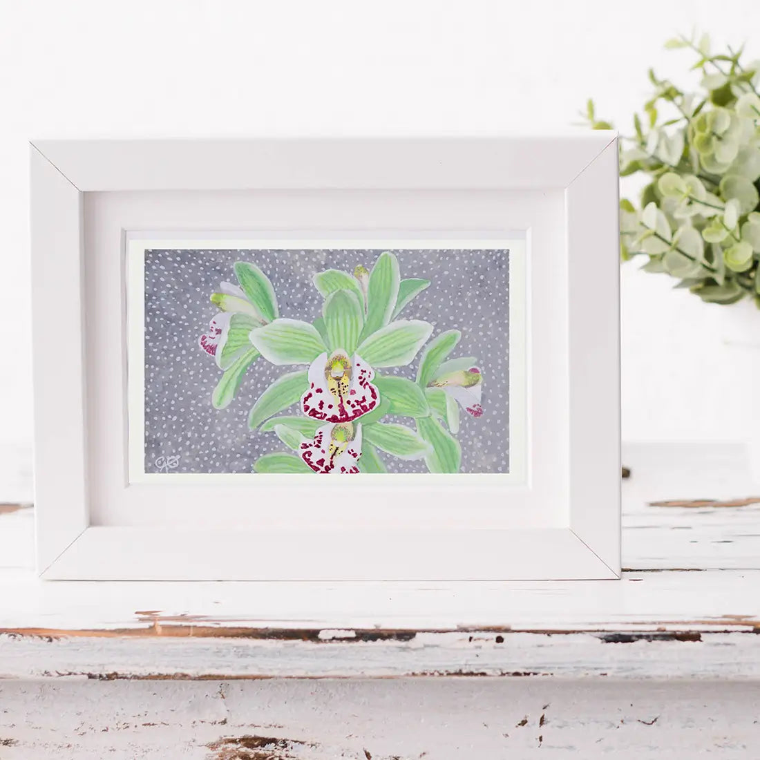 Lime Boat Orchid 5x8"