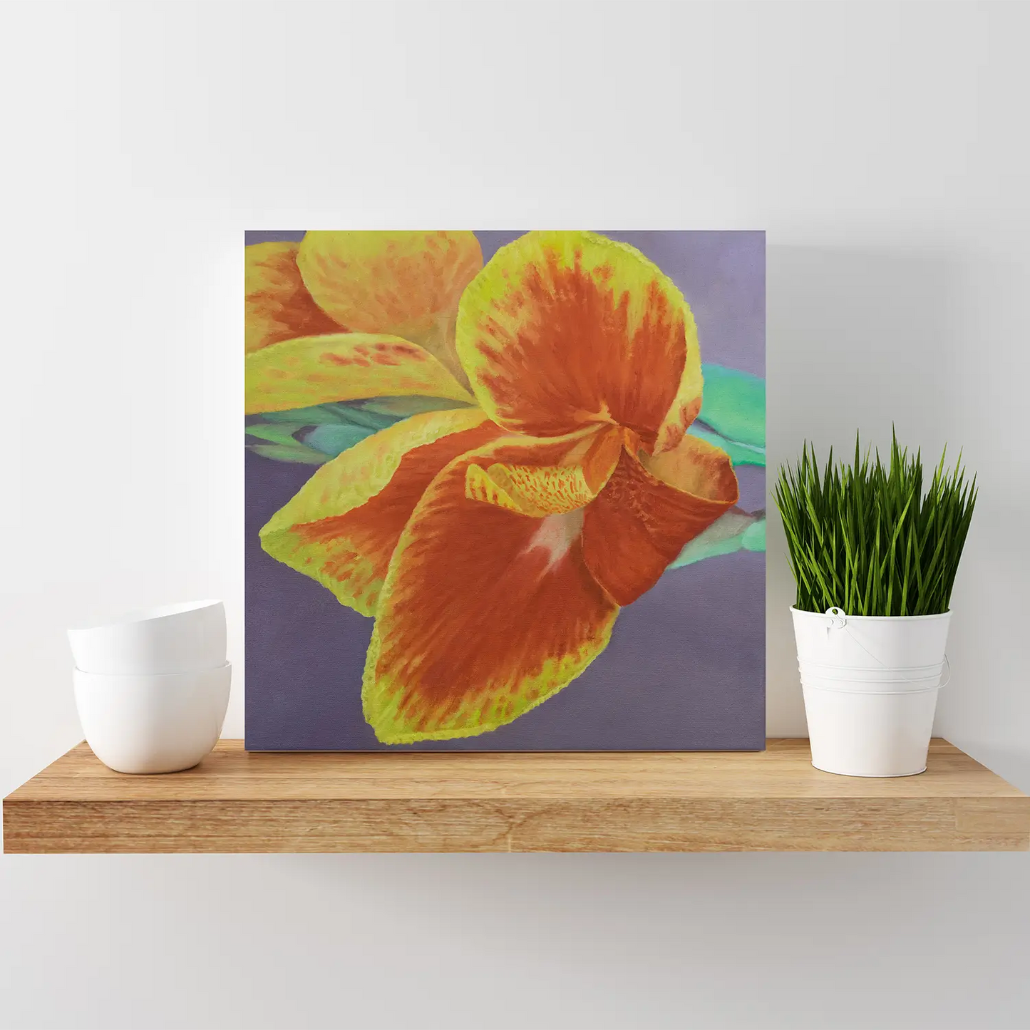 Orange King Canna 10x10"