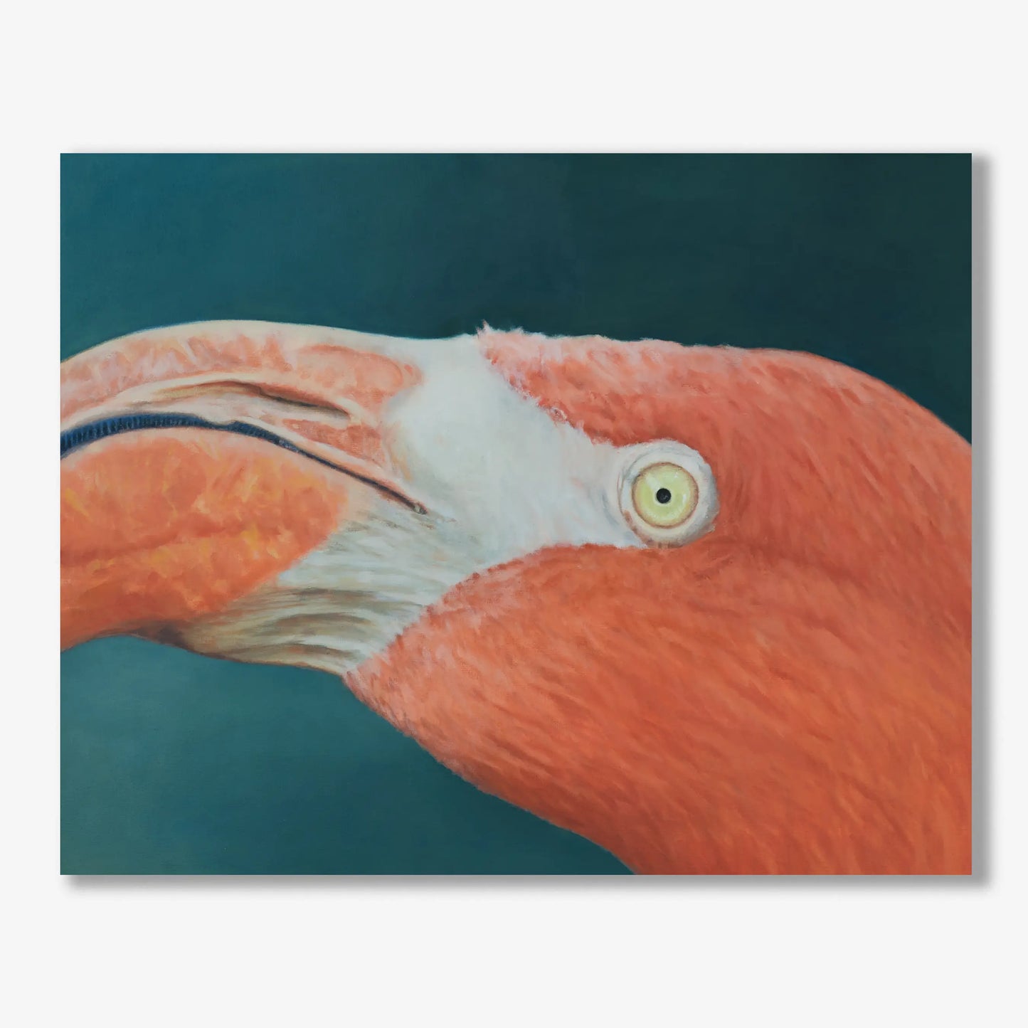 Flamingo Look 16x20"