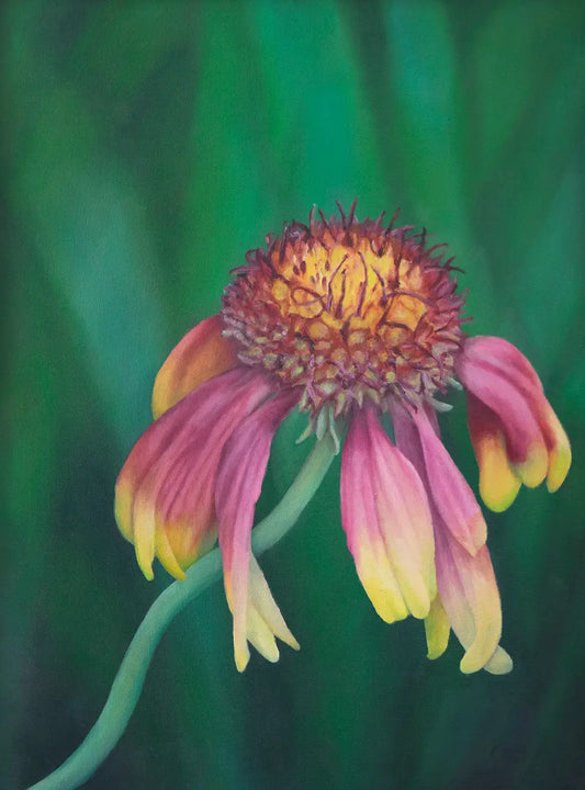 Kathleen's Flower - Fine Art Print
