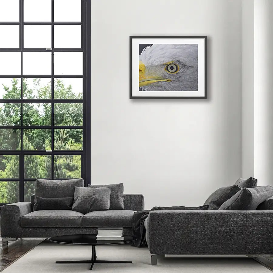 Eagle Eye - Fine Art Print