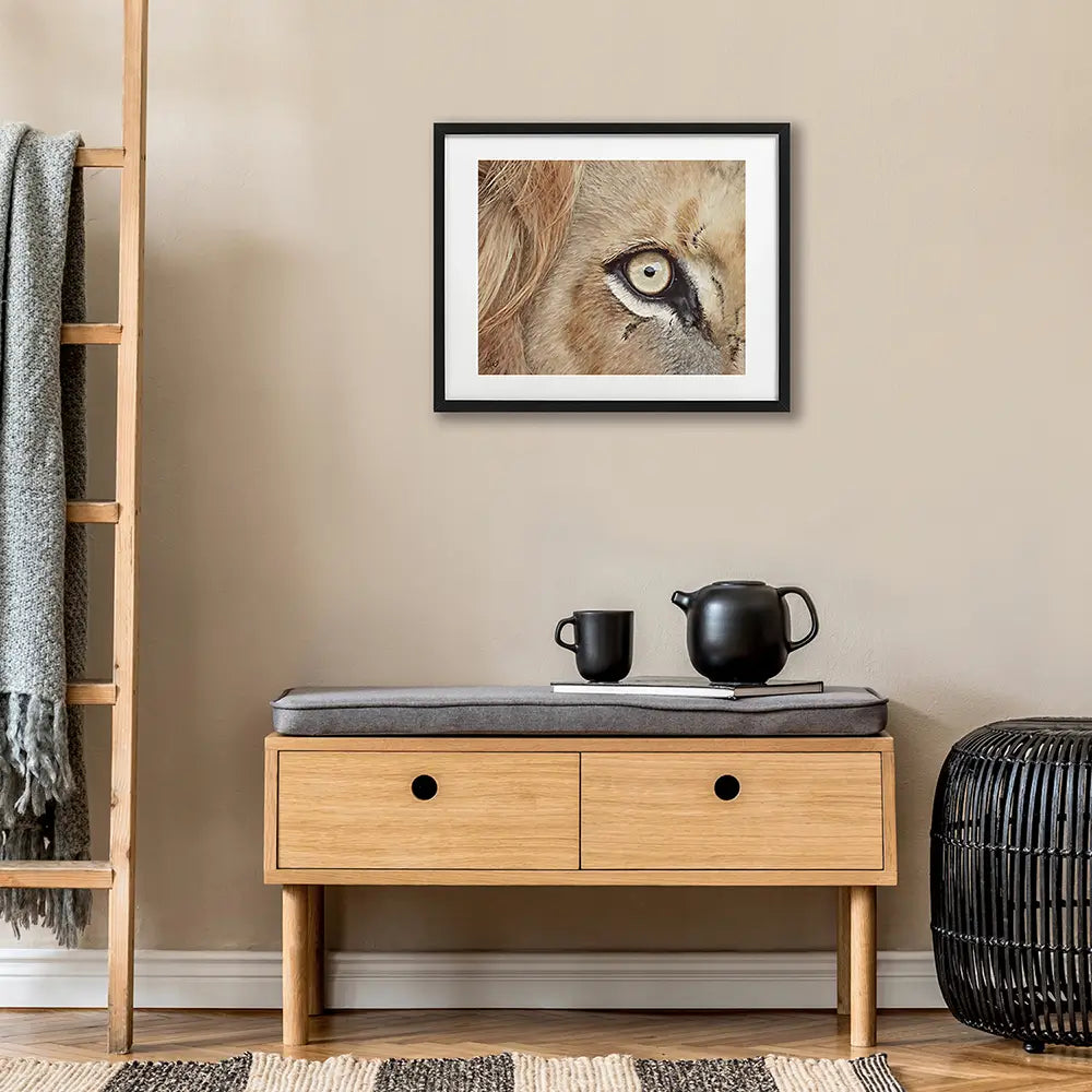 Lion's Eye - Fine Art Print