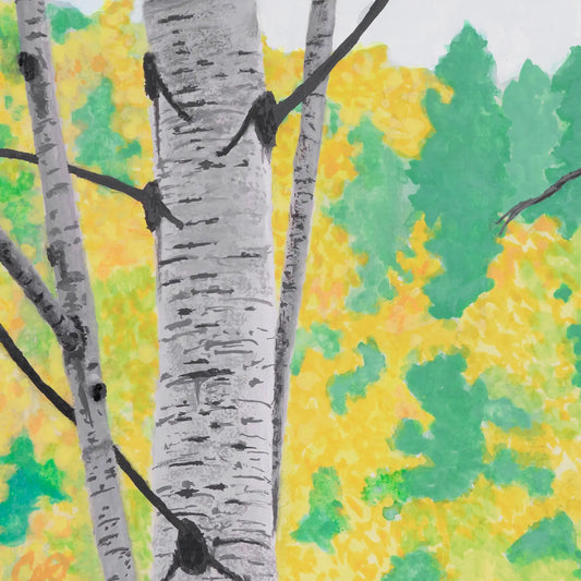 Aspen Allure 5.5x8.5"