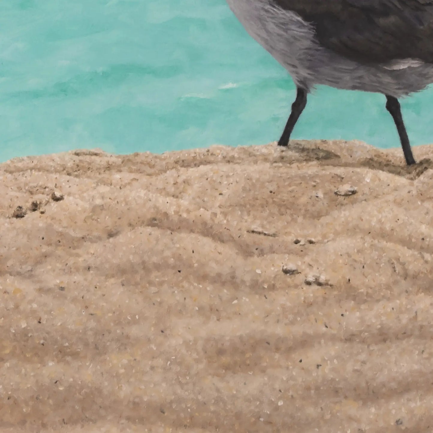 Sand, Sea and Heermann's Gull 30x48"