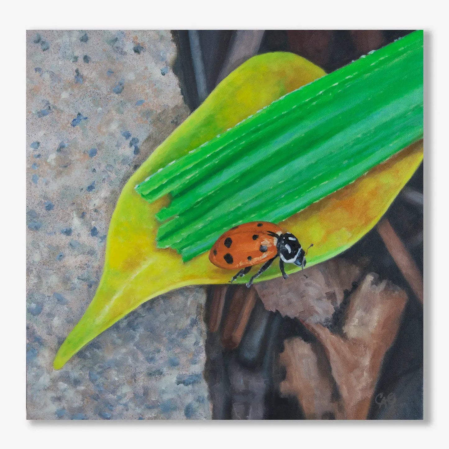 Lady on a Cliff 12x12"