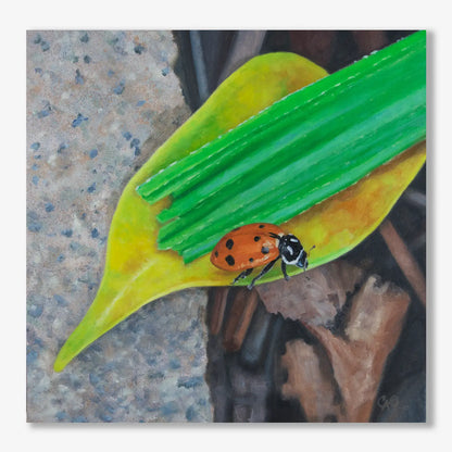 Lady on a Cliff 12x12"