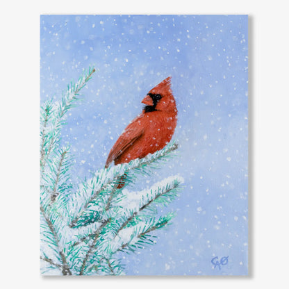 Snowy Cardinal 10x8"