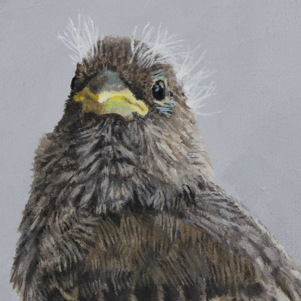 Little Tweet Too 10x8"