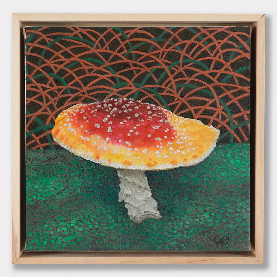 Sombrero Shroom 8x8"