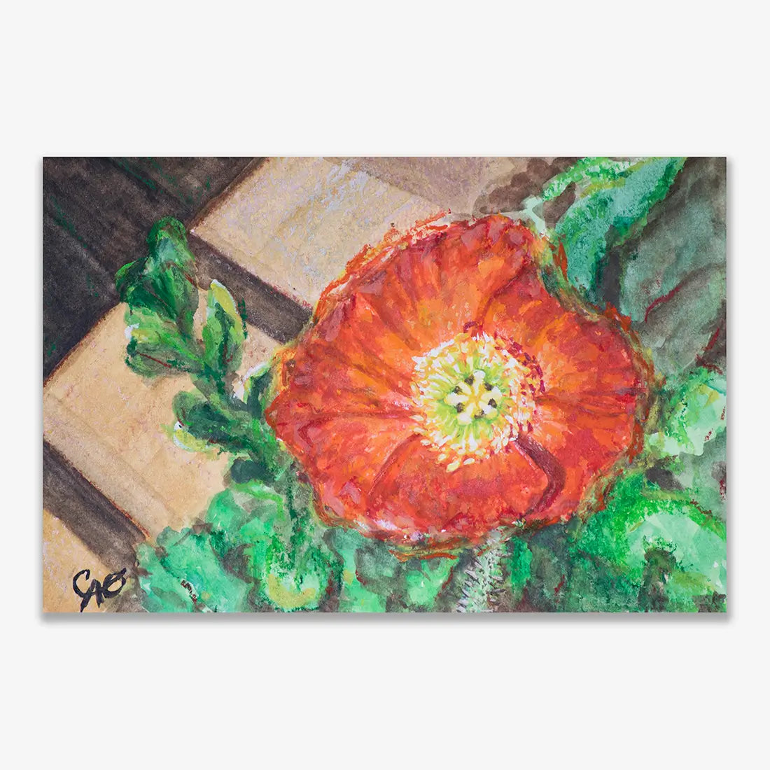 Dreamy Orange 5x7.5"