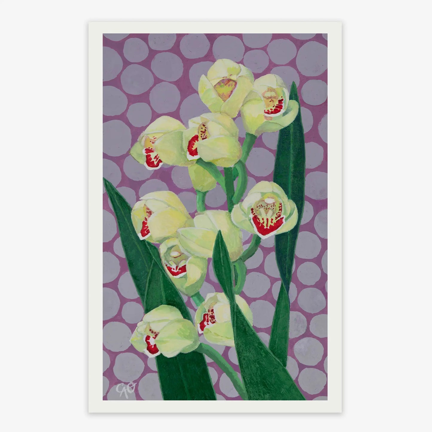 Cymbidium Orchid 5x8"