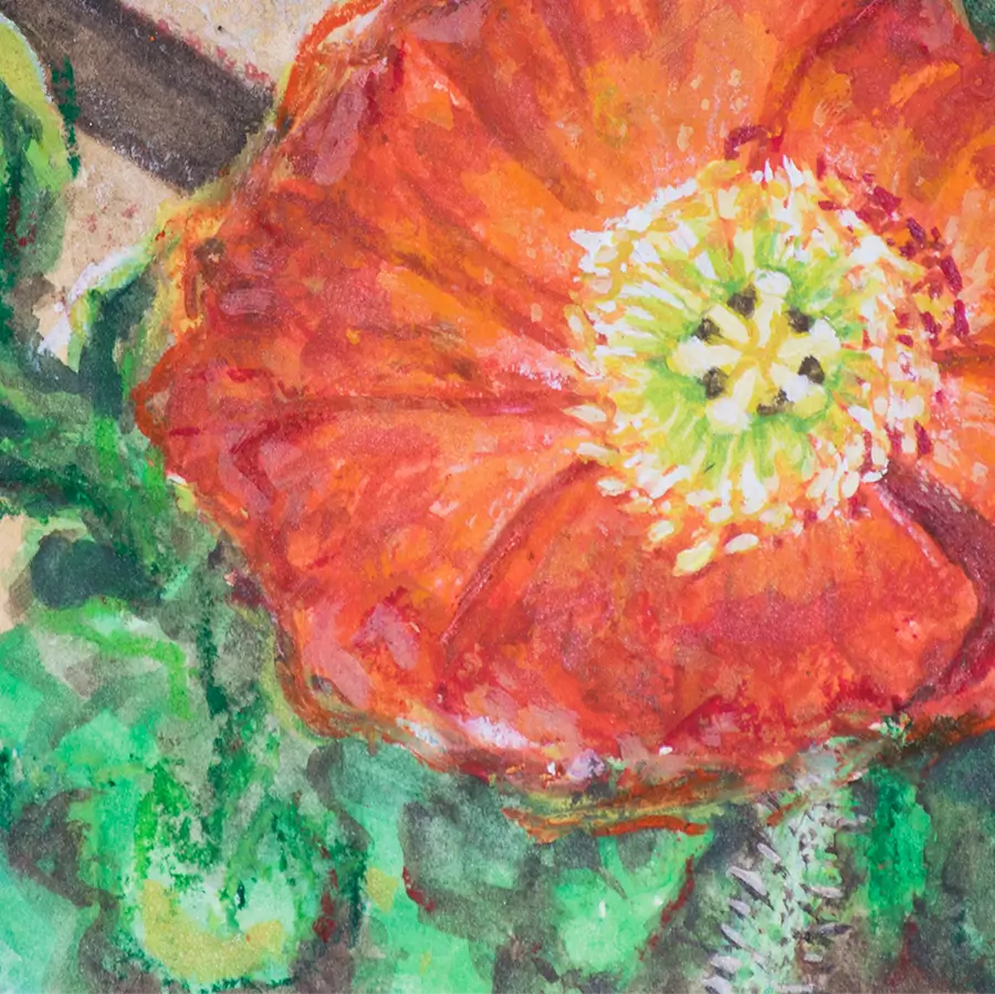 Dreamy Orange 5x7.5"