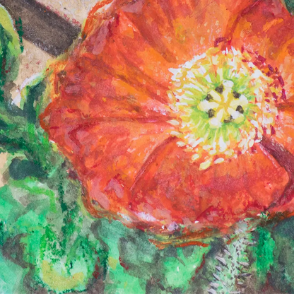 Dreamy Orange 5x7.5"