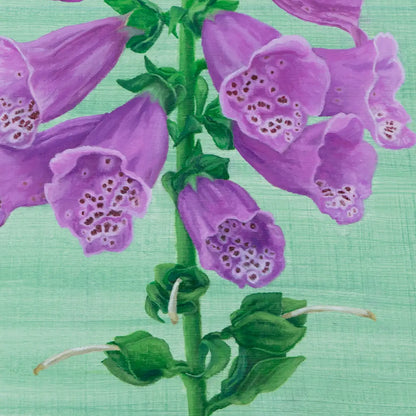 Candy Mountain Foxglove 10x8"