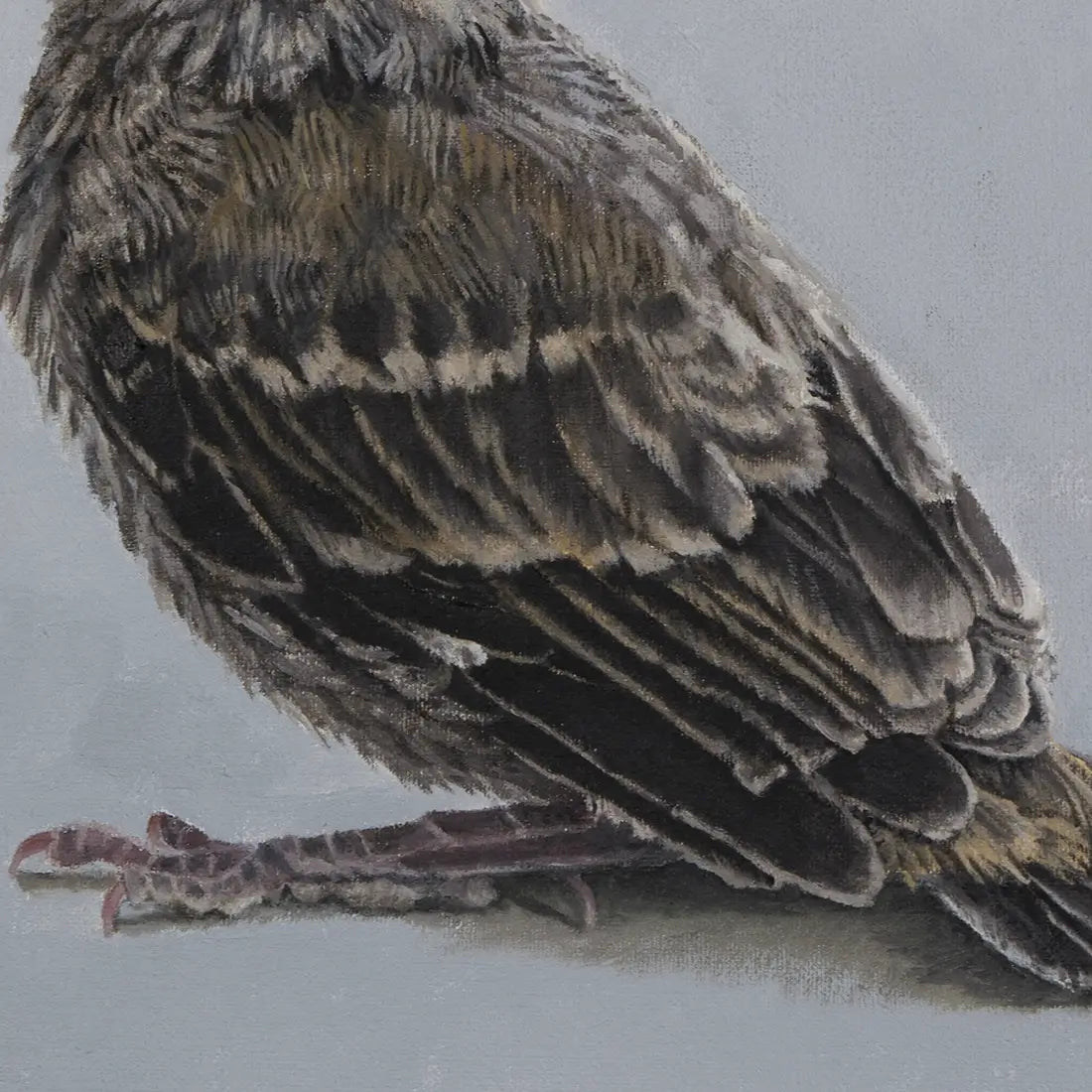 Little Tweet Too 10x8"