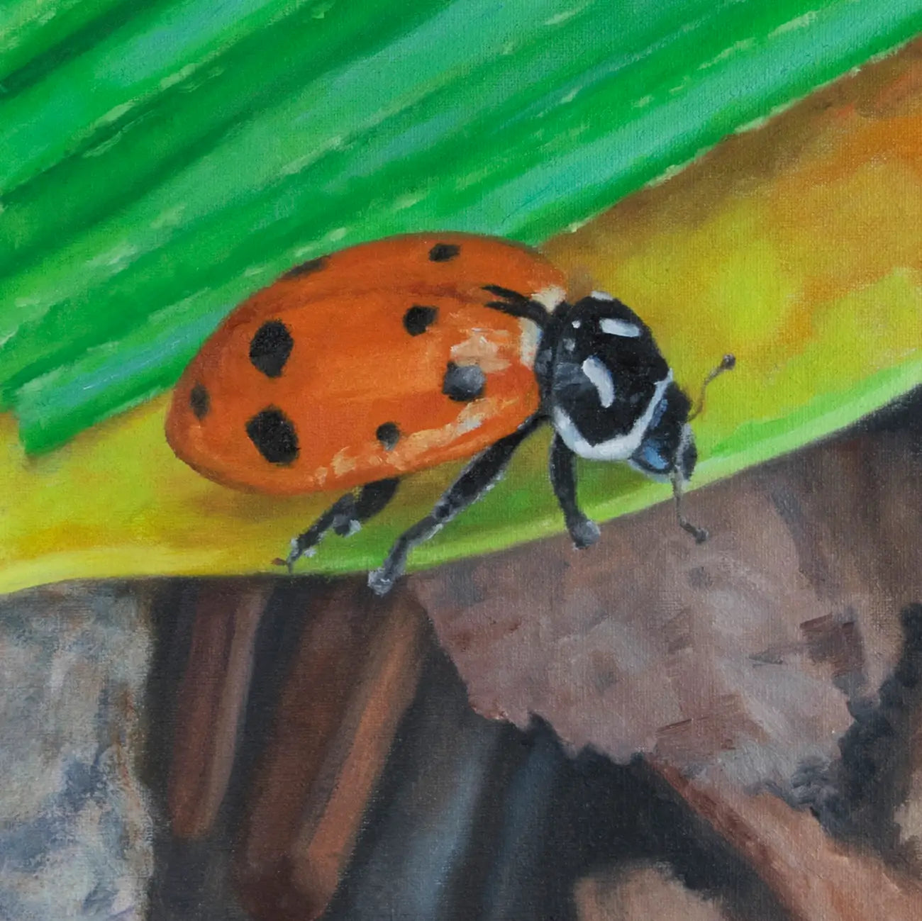 Lady on a Cliff 12x12"