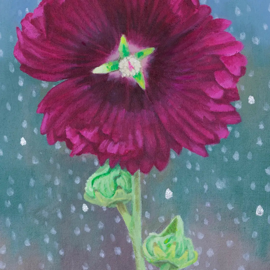 Hollyhock Alcea Rose 18x10"