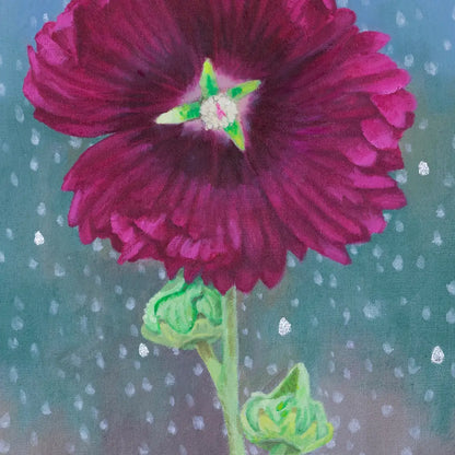 Hollyhock Alcea Rose 18x10"