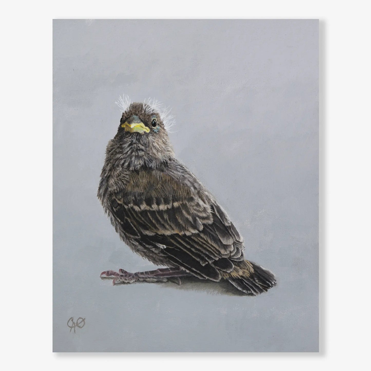 Little Tweet Too 10x8"