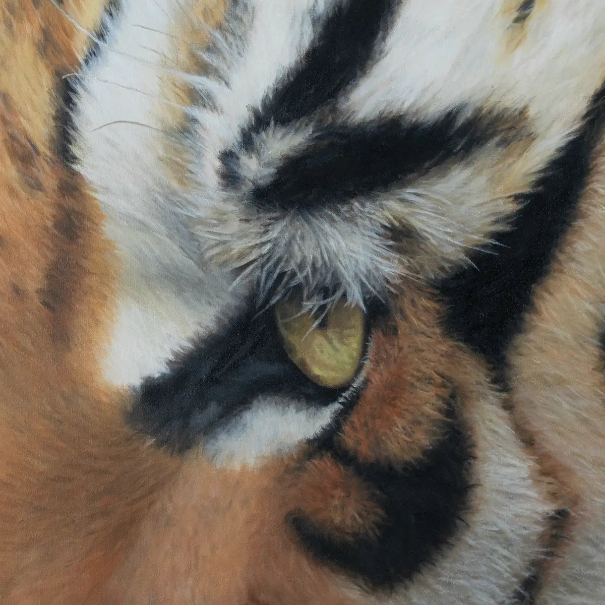 Tiger Eye 16x20"