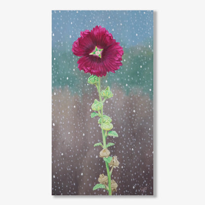 Hollyhock Alcea Rose 18x10"