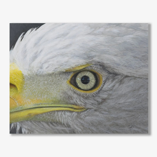 Eagle Eye 16x20"