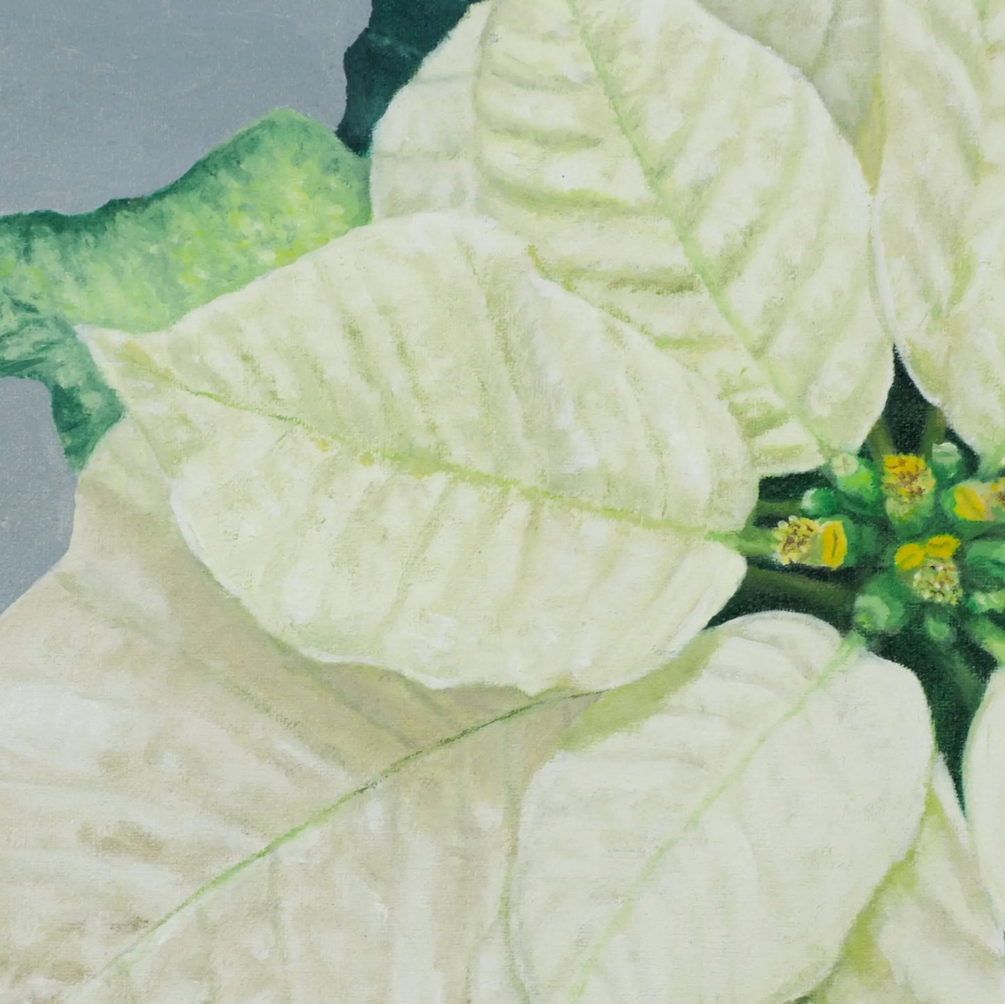 Holiday Bracts 8x10"