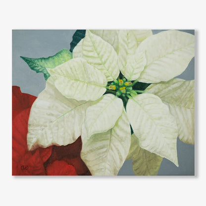 Holiday Bracts 8x10"