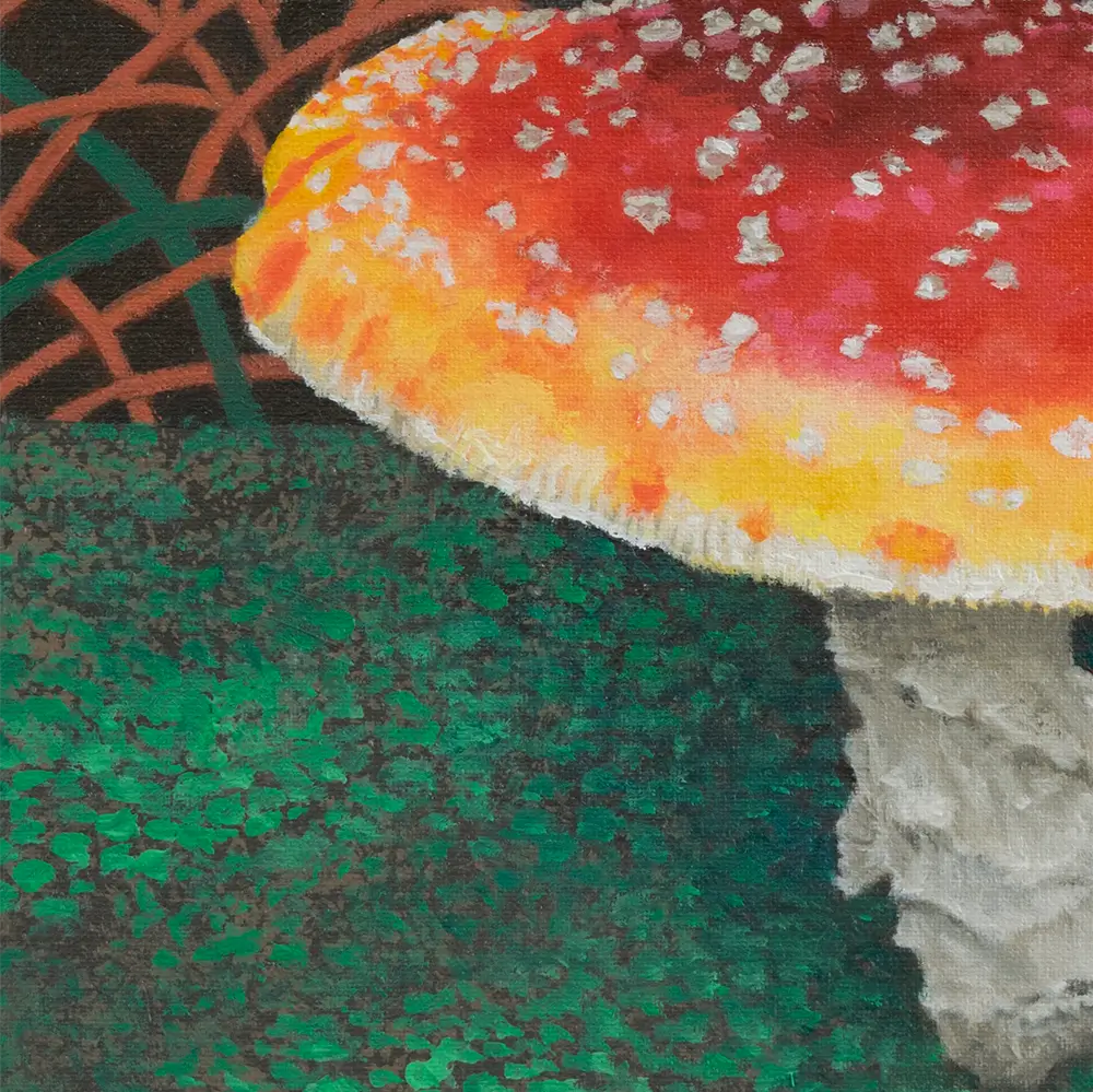 Sombrero Shroom 8x8"