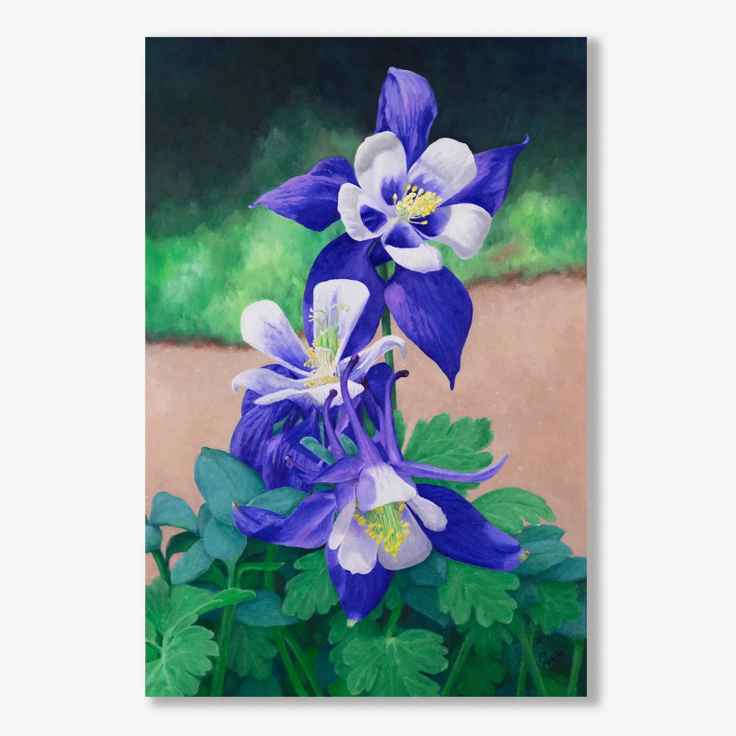 Blue Stars Blossom 18x12"