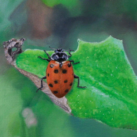 Lady on a Leaf 10x8"