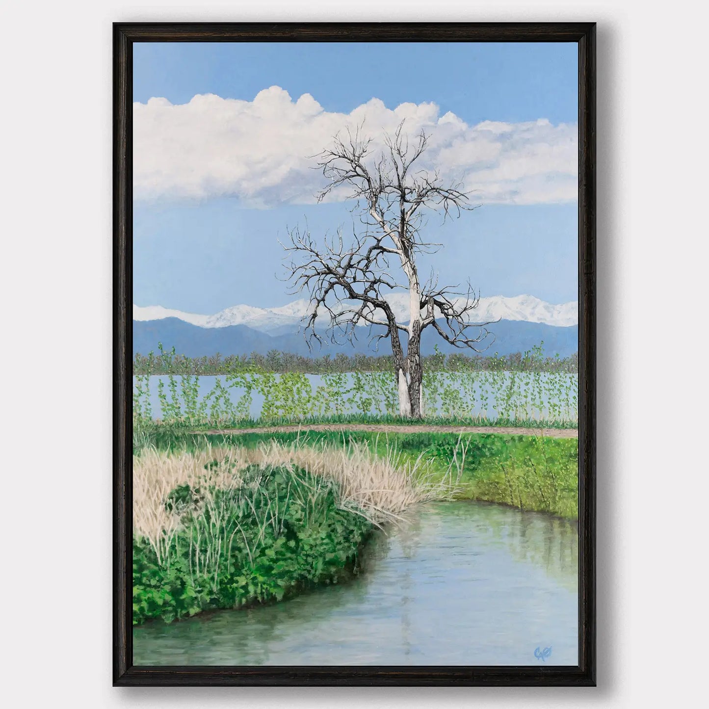 Barr Lake Tree 28x20"