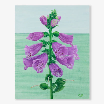 Candy Mountain Foxglove 10x8"