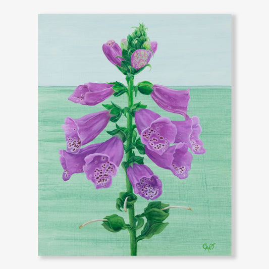 Candy Mountain Foxglove 10x8"