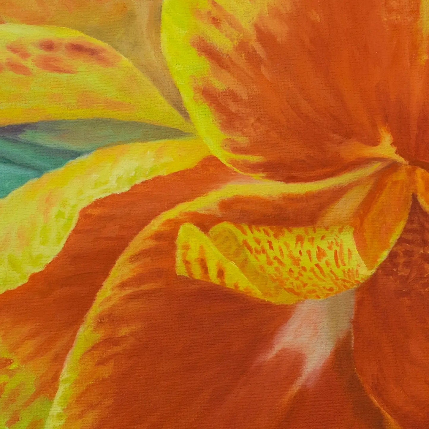 Orange King Canna 10x10"