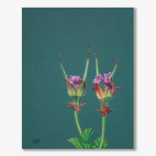 Rose Geraniums 10x8"