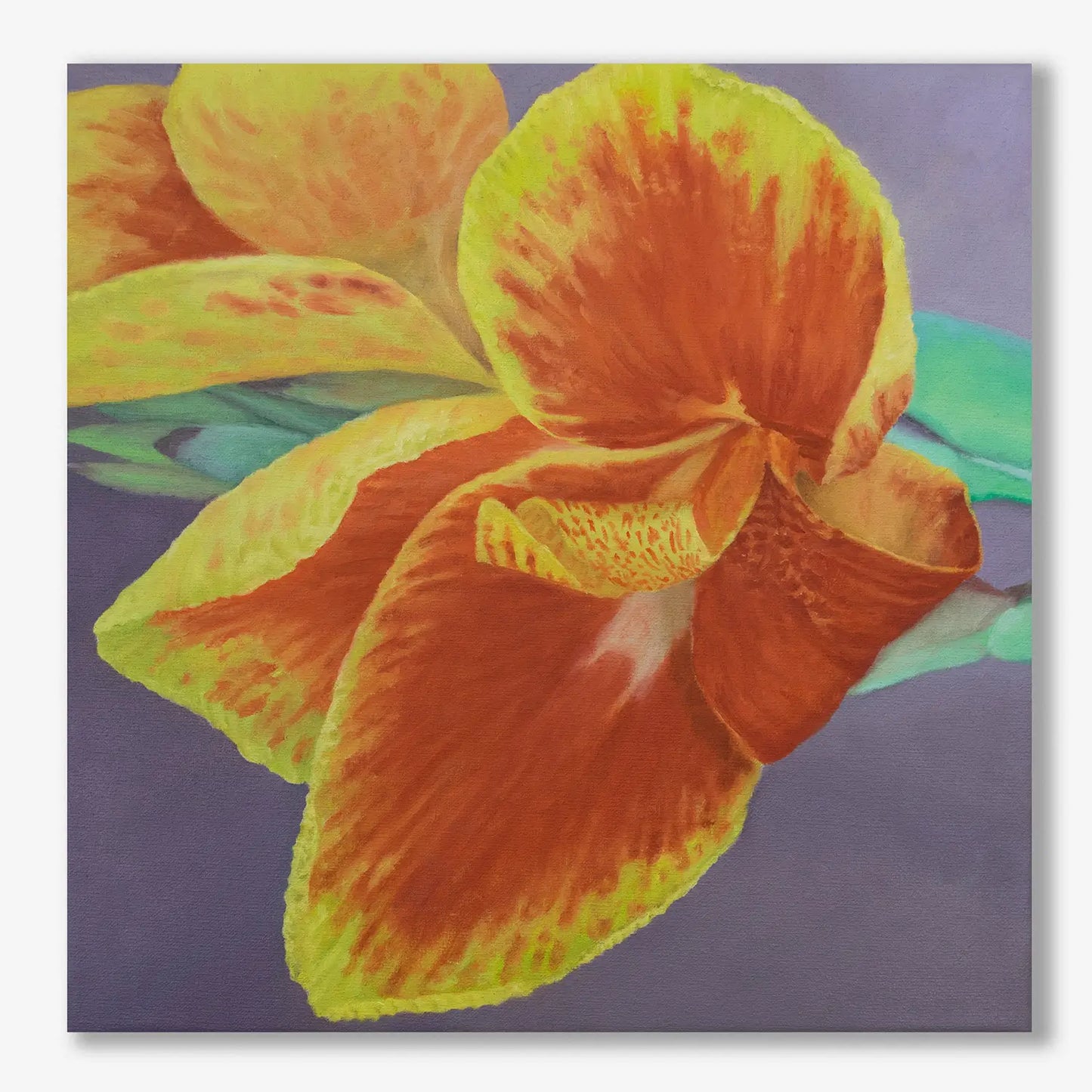 Orange King Canna 10x10"