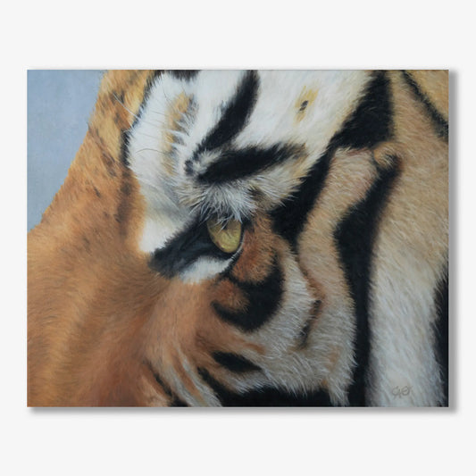 Tiger Eye 16x20"