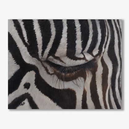 The Sad Zebra 16x20"