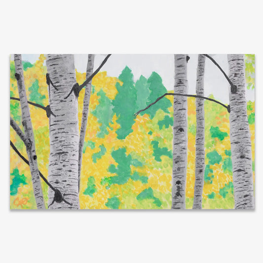 Aspen Allure 5.5x8.5"