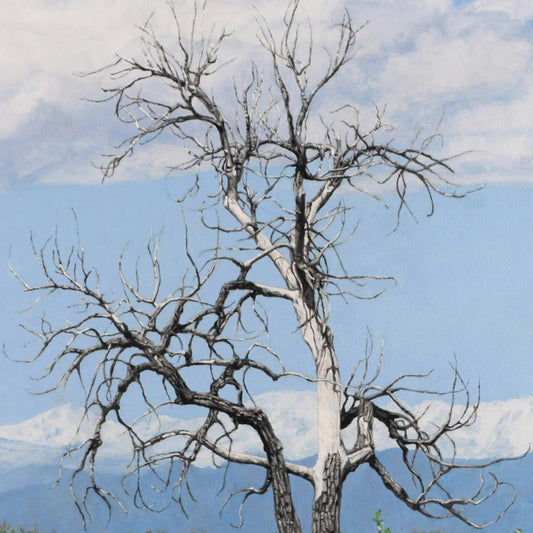 Barr Lake Tree 28x20"