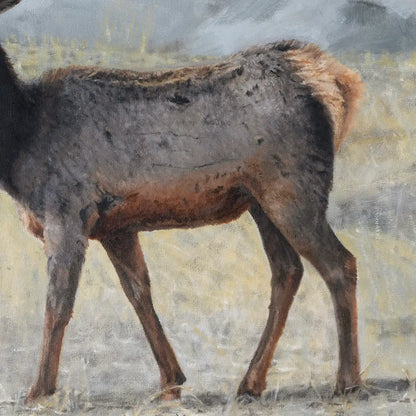 Soda Creek Elk 12x14"