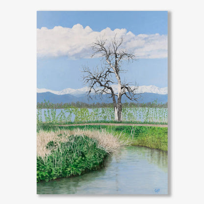 Barr Lake Tree 28x20"