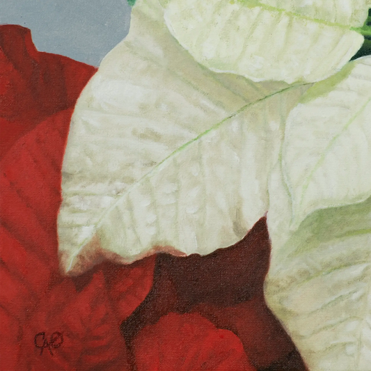 Holiday Bracts 8x10"