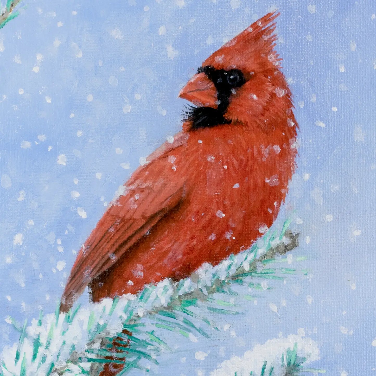 Snowy Cardinal 10x8"
